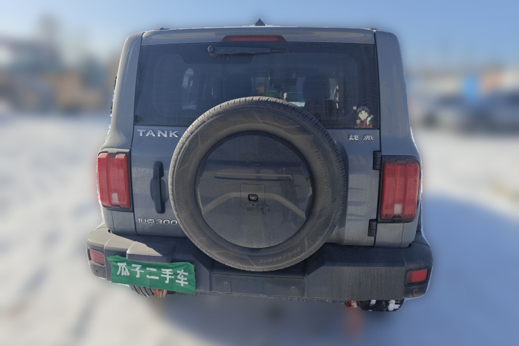 坦克300 2021款 越野版 2.0T 征服者车身外观6