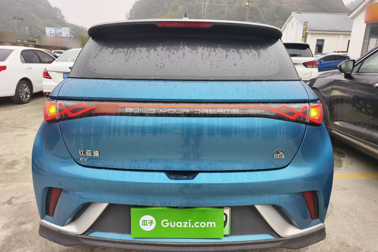 比亚迪 海豚 2021款 401km 骑士版车身外观6