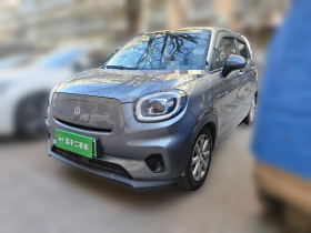 零跑汽车 零跑T03 2022款 星钻版