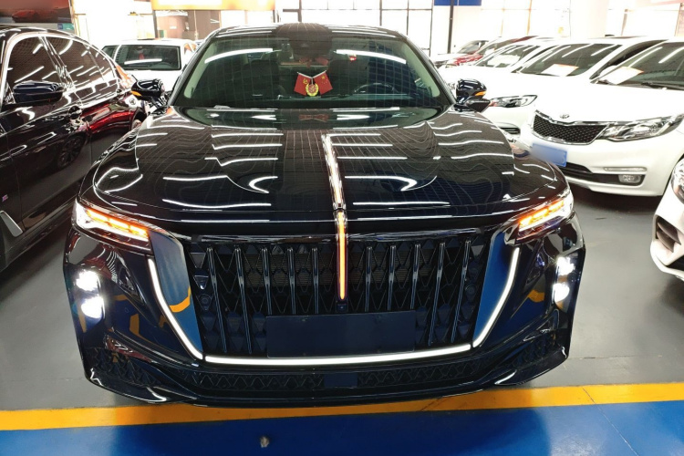 红旗H9 2024款 2.0T 旗畅 私享风尚版车身外观2