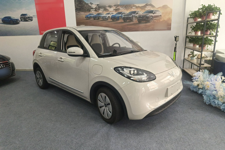 五菱汽车 五菱缤果 2023款 203km 轻享款车身外观6002