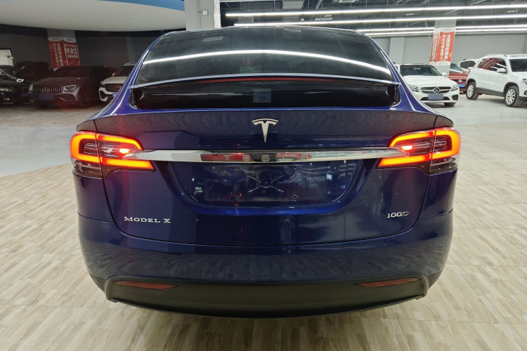 特斯拉 2017款 Model X 100D 长续航版车身外观6004