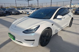 特斯拉 Model 3 2019款 标准续航后驱升级版
