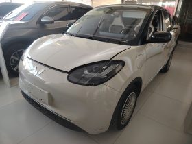 五菱汽车 五菱缤果 2023款 410km 灵犀尊享款