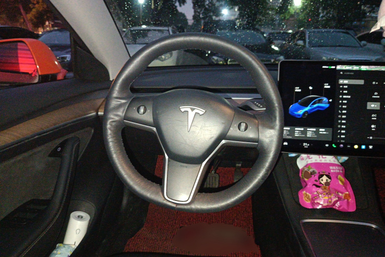 特斯拉 Model 3 2021款 标准续航后驱升级版局部细节13