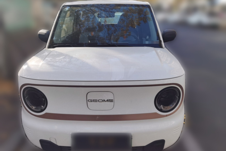 吉利银河 2023款 熊猫mini 120km 萌萌熊车身外观6001