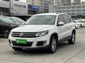 大众 途观 2017款 300TSI 自动两驱丝绸之路风尚版