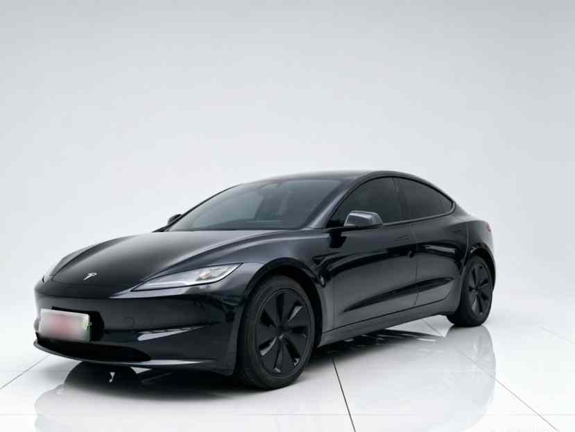 特斯拉 Model 3 2025款 后轮驱动版(1)