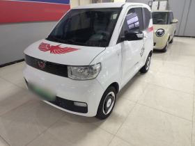 五菱汽车 宏光MINIEV 2020款 轻松款 磷酸铁锂