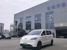 五菱汽车 五菱宏光新能源 2024款 纯电版 300KM 标准型