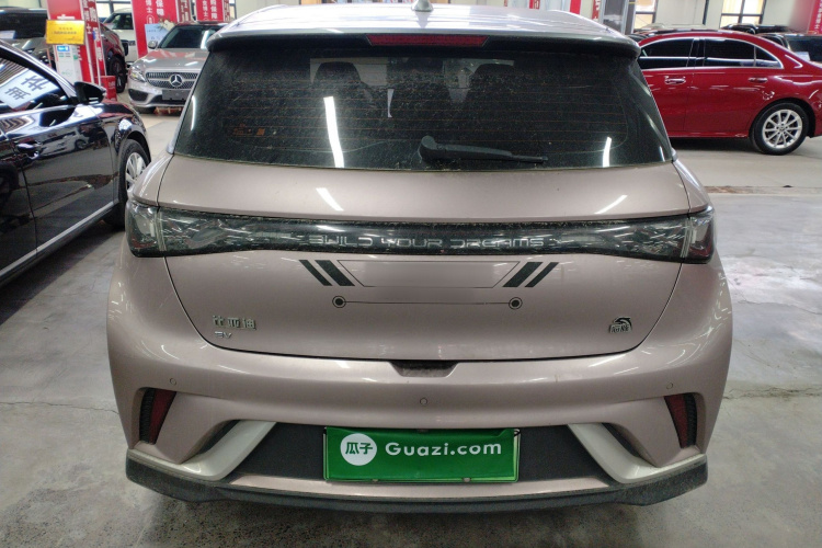 比亚迪 海豚 2023款 401km 骑士版车身外观6