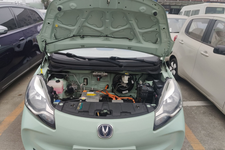 长安欧尚 奔奔E-Star 2022款 国民版 多彩限量款（快充版）磷酸铁锂局部细节24