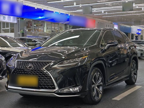 雷克萨斯RX 2020款 改款 300 四驱典雅版