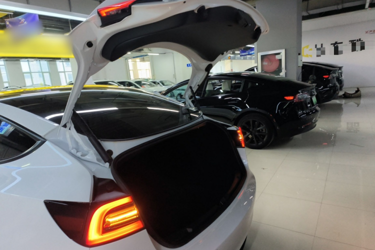 特斯拉 Model 3 2021款 标准续航后驱升级版机舱底盘23