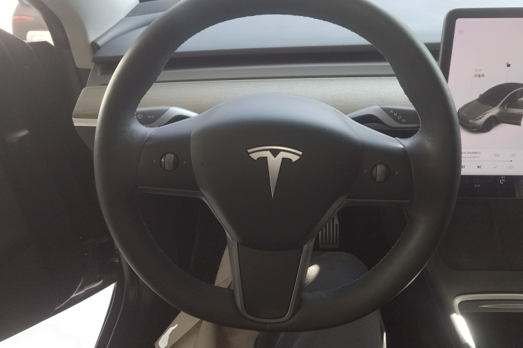 特斯拉 Model Y 2021款 长续航全轮驱动版中控内饰13