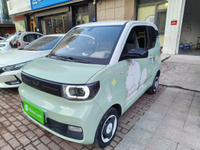 五菱汽车 宏光MINIEV 2022款 马卡龙时尚款 磷酸铁锂