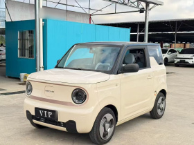 吉利银河 2023款 熊猫mini 200km 耐力熊