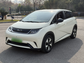 比亚迪 海豚 2024款 荣耀版 420km 自由版