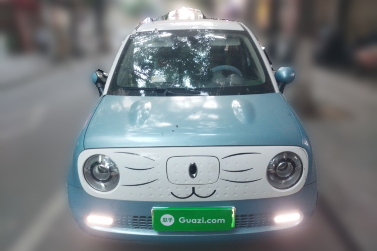 欧拉黑猫 2019款 351km 女神版车身外观6001