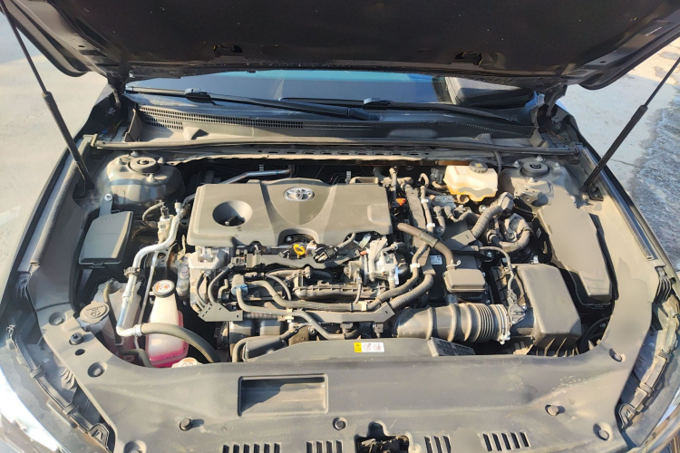 丰田 亚洲龙 2019款 双擎 2.5L XLE尊贵版 国VI局部细节24