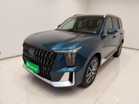 广汽传祺 传祺GS8 2022款 双擎系列 2.0TM 两驱尊贵版 （七座）