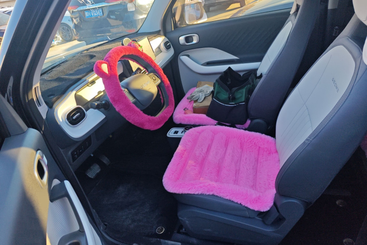 吉利银河 2025款 210km 熊猫卡丁局部细节19