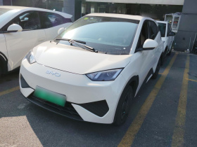 比亚迪 海鸥 2025款 305km 活力版