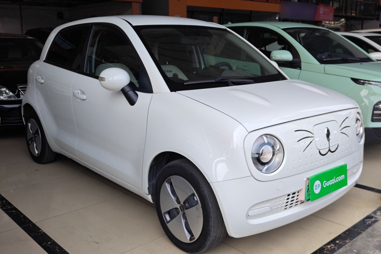 欧拉黑猫 2021款 301km 基础型车身外观3