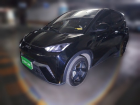 比亚迪 海鸥 2023款 自由版