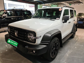 坦克300 2024款 2.0T 挑战者