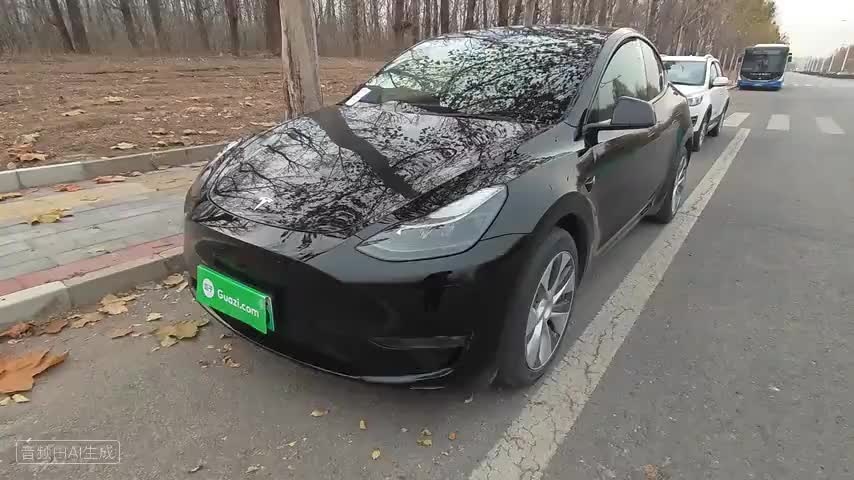 特斯拉 Model Y 2021款 标准续航后驱版检测视频1