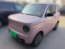 吉利银河 2023款 熊猫mini 200km 耐力熊