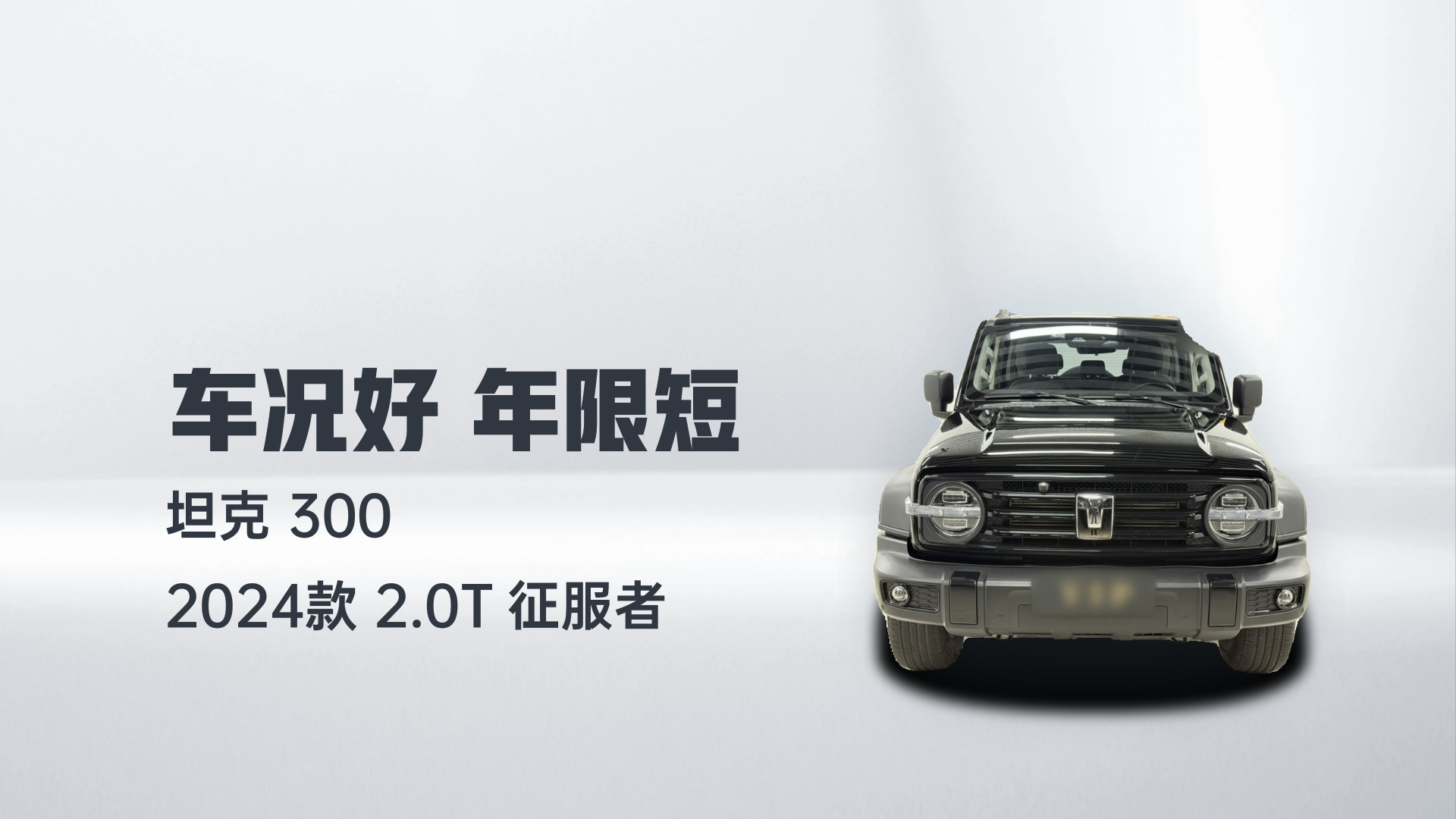 坦克300 2024款 2.0T 征服者解读2