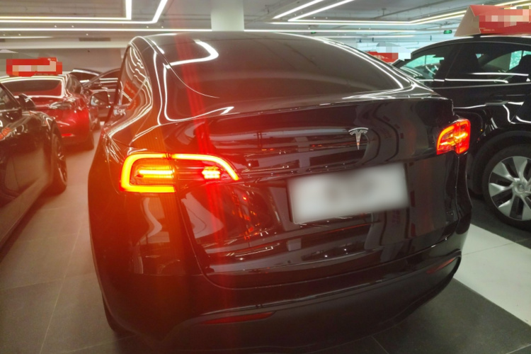 特斯拉 Model Y 2021款 标准续航后驱版车身外观6