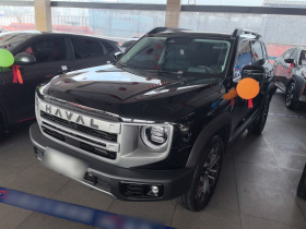 哈弗大狗 2024款 1.5T DCT边牧版