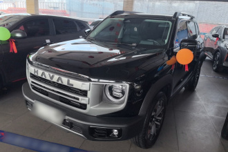 哈弗大狗 2024款 1.5T DCT边牧版