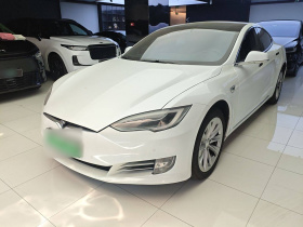 特斯拉 Model S 2019款 标准续航版