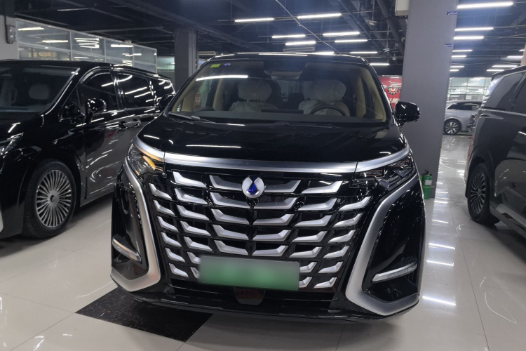 腾势D9 2025款 DM-i 智驾版 1100 豪华型车身外观6001