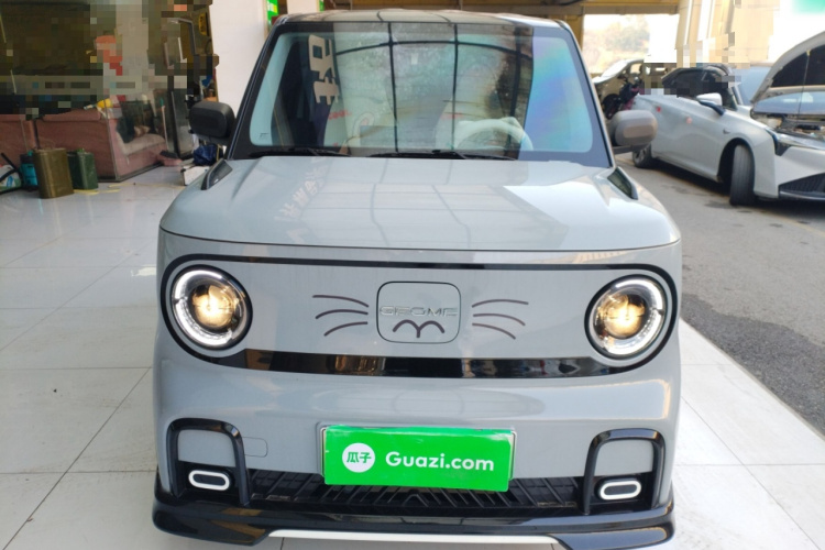 吉利银河 2024款 熊猫mini 200km 龙腾版车身外观2