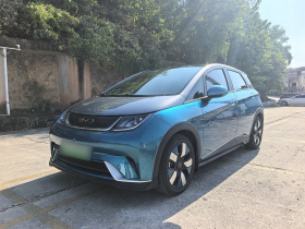 比亚迪 海豚 2021款 401km 骑士版