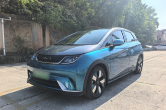 比亚迪 海豚 2021款 401km 骑士版