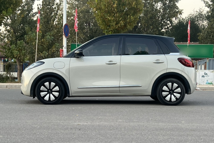 五菱汽车 五菱缤果 2023款 333km 灵犀互联款车身外观6006