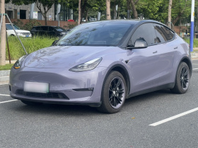 特斯拉 Model Y 2022款 长续航全轮驱动版