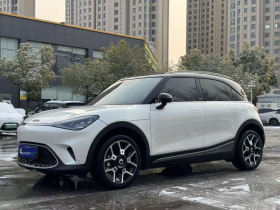 smart精灵#1 2022款 Pulse心动版