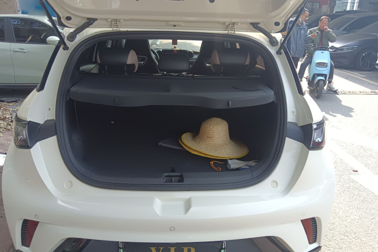 比亚迪 海豚 2024款 荣耀版 420km 时尚版机舱底盘23