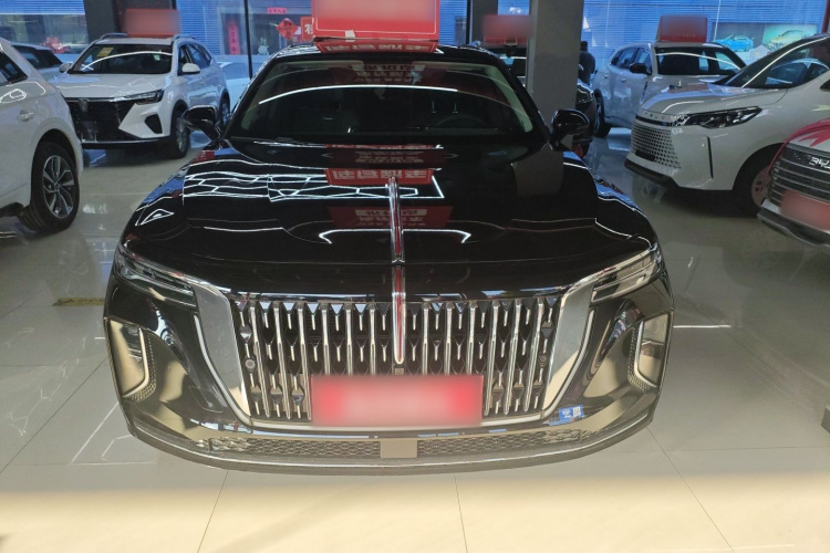 红旗H9 2025款 2.0T 两驱旗享私享风尚版 5座车身外观6001