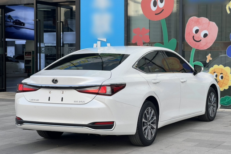 雷克萨斯ES 2022款 200 卓越版车身外观6008