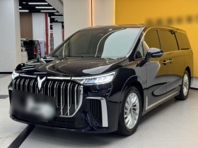 岚图汽车 岚图梦想家 2022款 低碳版 想+智驾包