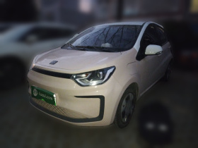 思皓 2022款 花仙子款 四叶草