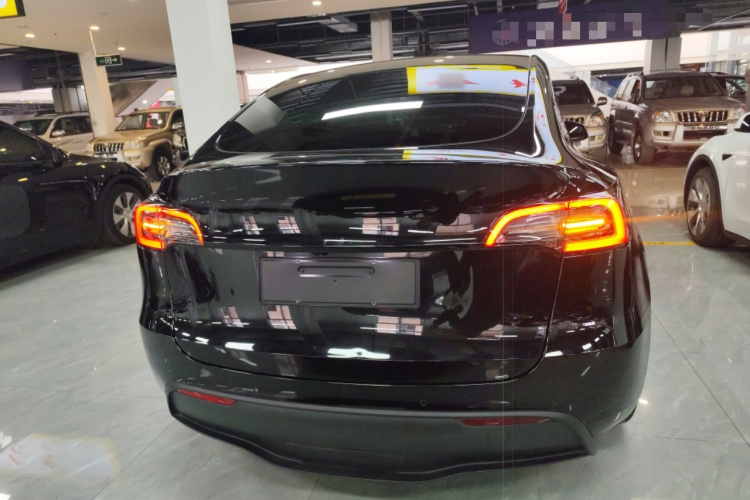 特斯拉 Model Y 2021款 Performance高性能全轮驱动版车身外观6004